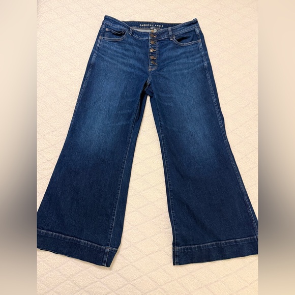 American Eagle Outfitters Denim - American Eagle Outfitters Indigo Wide Leg Jeans